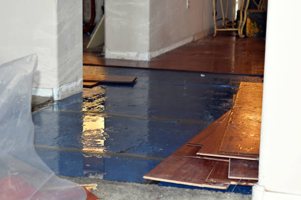 Professional Water Extraction technician working in Creston, OH